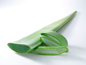 Rahasia Alami Meredakan Asam Lambung Tanpa Ketergantungan Obat Kimia