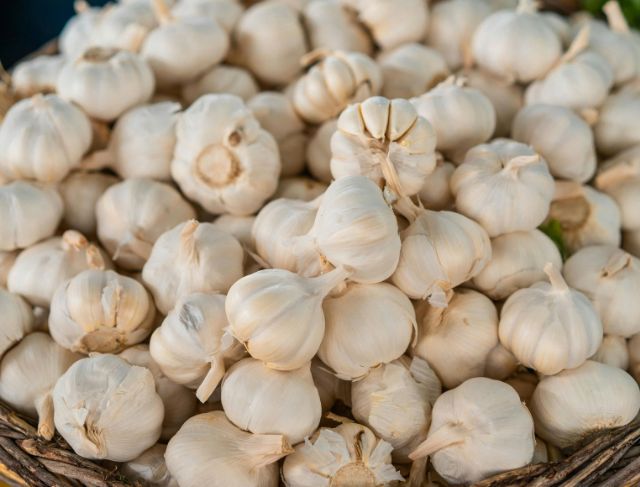Bawang Putih untuk Mengurangi Plak di Pembuluh Darah?
