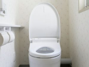 Duduk Lama di Toilet Bisa Picu Wasir/Ambeien?