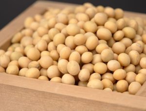 Konsumsi Kedelai bagi Gula Darah, Hormon, dan Kesehatan Metabolik