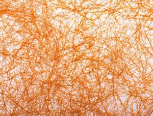 Minuman Kolagen vs Bone Broth: Mana yang Lebih Efektif untuk Kulit, Sendi, dan Usus?