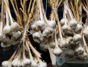 Herbal Penurun Kolesterol Alami yang Aman Dikonsumsi Setiap Hari untuk Menjaga Kesehatan Jantung