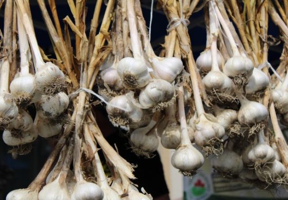 Herbal Penurun Kolesterol Alami yang Aman Dikonsumsi Setiap Hari untuk Menjaga Kesehatan Jantung