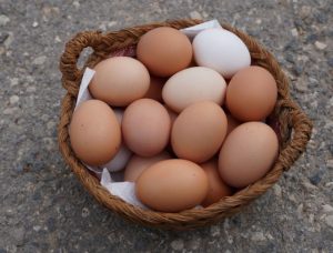 Manfaat Telur untuk Anak Setiap Hari