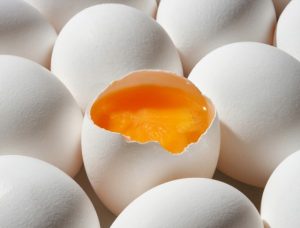 Apakah Telur Omega Lebih Sehat atau Sekadar Marketing?
