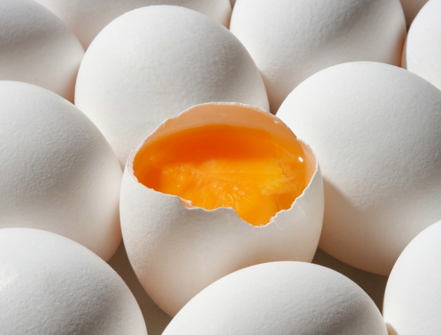 Apakah Telur Omega Lebih Sehat atau Sekadar Marketing?