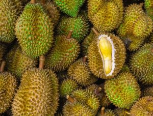 Manfaat Durian untuk Kesehatan