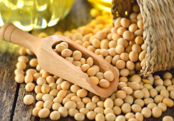 5 Makanan yang Bisa Menurunkan Testosteron